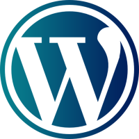 تصميم انفوجراف احترافي